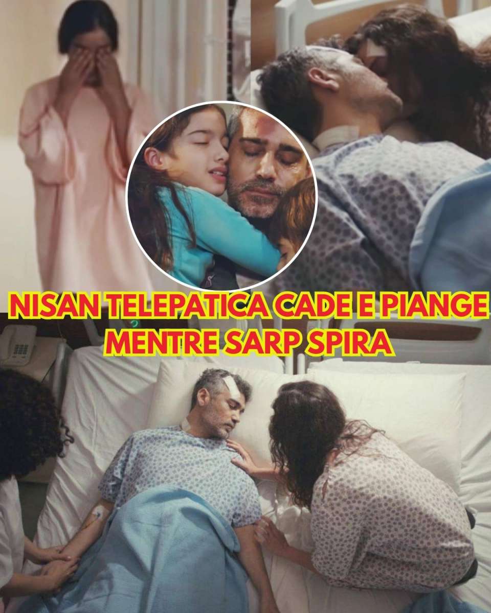 Quando il dolore taglia il fiato: Nisan piange, Şirin in crisi e Sarp lotta tra la vita e la morte